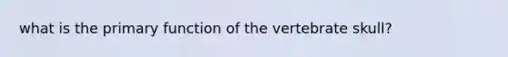 what is the primary function of the vertebrate skull?