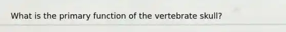 What is the primary function of the vertebrate skull?