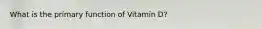 What is the primary function of Vitamin D?