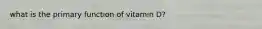 what is the primary function of vitamin D?