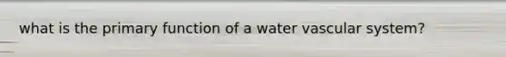 what is the primary function of a water vascular system?