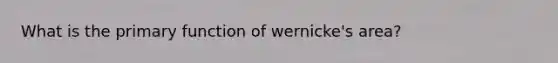 What is the primary function of wernicke's area?