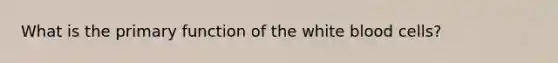 What is the primary function of the white blood cells?