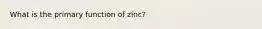 What is the primary function of zinc?