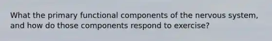 What the primary functional components of the nervous system, and how do those components respond to exercise?