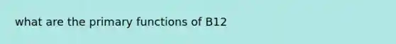 what are the primary functions of B12