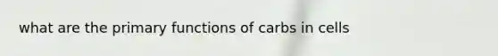 what are the primary functions of carbs in cells