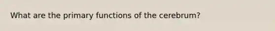 What are the primary functions of the cerebrum?