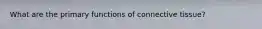 What are the primary functions of connective tissue?