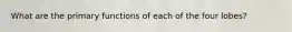 What are the primary functions of each of the four lobes?