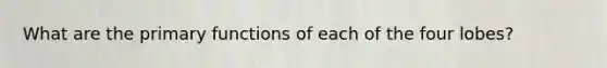 What are the primary functions of each of the four lobes?