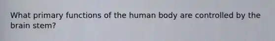 What primary functions of the human body are controlled by the brain stem?