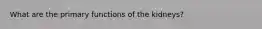 What are the primary functions of the kidneys?