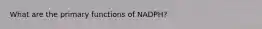 What are the primary functions of NADPH?