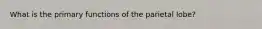 What is the primary functions of the parietal lobe?