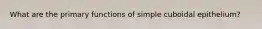 What are the primary functions of simple cuboidal epithelium?