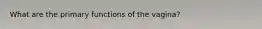 What are the primary functions of the vagina?