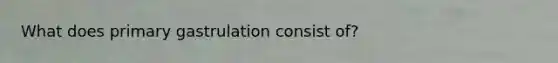 What does primary gastrulation consist of?