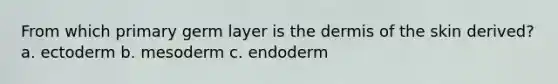 From which primary germ layer is the dermis of the skin derived? a. ectoderm b. mesoderm c. endoderm