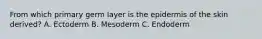 From which primary germ layer is the epidermis of the skin derived? A. Ectoderm B. Mesoderm C. Endoderm