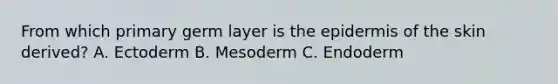 From which primary germ layer is the epidermis of the skin derived? A. Ectoderm B. Mesoderm C. Endoderm