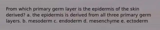 From which primary germ layer is the epidermis of the skin derived? a. the epidermis is derived from all three primary germ layers. b. mesoderm c. endoderm d. mesenchyme e. ectoderm