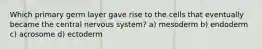 Which primary germ layer gave rise to the cells that eventually became the central nervous system? a) mesoderm b) endoderm c) acrosome d) ectoderm