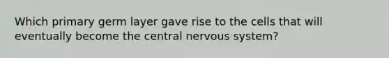 Which primary germ layer gave rise to the cells that will eventually become the central nervous system?