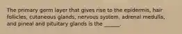 The primary germ layer that gives rise to the epidermis, hair follicles, cutaneous glands, nervous system, adrenal medulla, and pineal and pituitary glands is the ______.