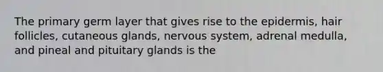 The primary germ layer that gives rise to the epidermis, hair follicles, cutaneous glands, nervous system, adrenal medulla, and pineal and pituitary glands is the