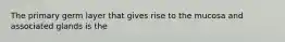 The primary germ layer that gives rise to the mucosa and associated glands is the