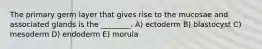 The primary germ layer that gives rise to the mucosae and associated glands is the ________. A) ectoderm B) blastocyst C) mesoderm D) endoderm E) morula