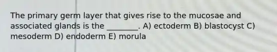 The primary germ layer that gives rise to the mucosae and associated glands is the ________. A) ectoderm B) blastocyst C) mesoderm D) endoderm E) morula