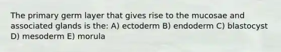 The primary germ layer that gives rise to the mucosae and associated glands is the: A) ectoderm B) endoderm C) blastocyst D) mesoderm E) morula