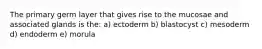 The primary germ layer that gives rise to the mucosae and associated glands is the: a) ectoderm b) blastocyst c) mesoderm d) endoderm e) morula