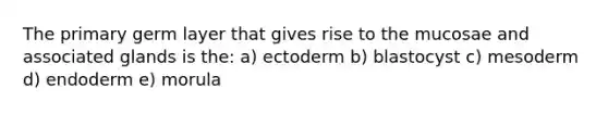 The primary germ layer that gives rise to the mucosae and associated glands is the: a) ectoderm b) blastocyst c) mesoderm d) endoderm e) morula