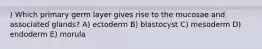 ) Which primary germ layer gives rise to the mucosae and associated glands? A) ectoderm B) blastocyst C) mesoderm D) endoderm E) morula