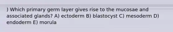 ) Which primary germ layer gives rise to the mucosae and associated glands? A) ectoderm B) blastocyst C) mesoderm D) endoderm E) morula