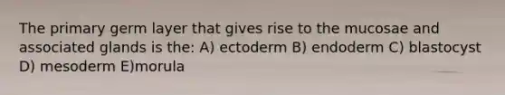 The primary germ layer that gives rise to the mucosae and associated glands is the: A) ectoderm B) endoderm C) blastocyst D) mesoderm E)morula