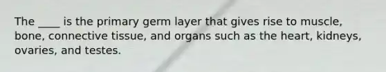 The ____ is the primary germ layer that gives rise to muscle, bone, connective tissue, and organs such as the heart, kidneys, ovaries, and testes.