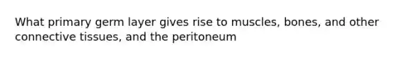 What primary germ layer gives rise to muscles, bones, and other connective tissues, and the peritoneum