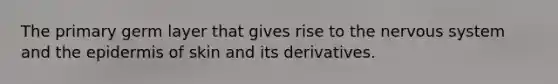 The primary germ layer that gives rise to the <a href='https://www.questionai.com/knowledge/kThdVqrsqy-nervous-system' class='anchor-knowledge'>nervous system</a> and <a href='https://www.questionai.com/knowledge/kBFgQMpq6s-the-epidermis' class='anchor-knowledge'>the epidermis</a> of skin and its derivatives.