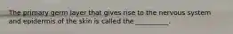 The primary germ layer that gives rise to the nervous system and epidermis of the skin is called the __________.