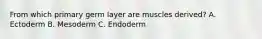 From which primary germ layer are muscles derived? A. Ectoderm B. Mesoderm C. Endoderm