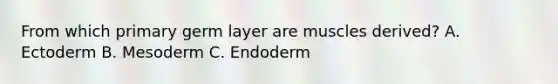 From which primary germ layer are muscles derived? A. Ectoderm B. Mesoderm C. Endoderm