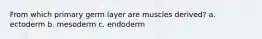 From which primary germ layer are muscles derived? a. ectoderm b. mesoderm c. endoderm