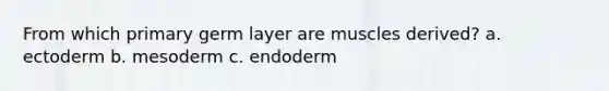 From which primary germ layer are muscles derived? a. ectoderm b. mesoderm c. endoderm