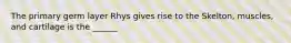The primary germ layer Rhys gives rise to the Skelton, muscles, and cartilage is the ______