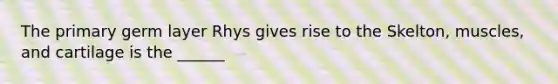 The primary germ layer Rhys gives rise to the Skelton, muscles, and cartilage is the ______