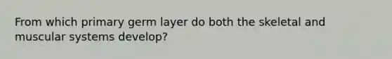 From which primary germ layer do both the skeletal and muscular systems develop?